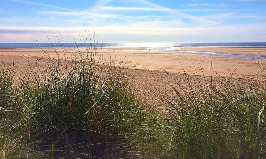 beach coast northumberland