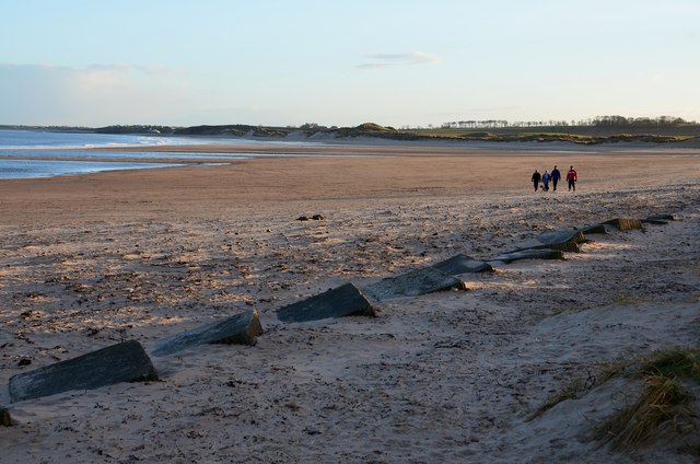 alnmouth beach northumberland