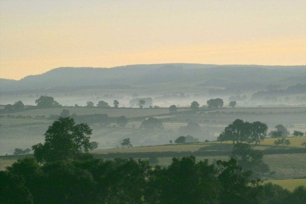 cheviot