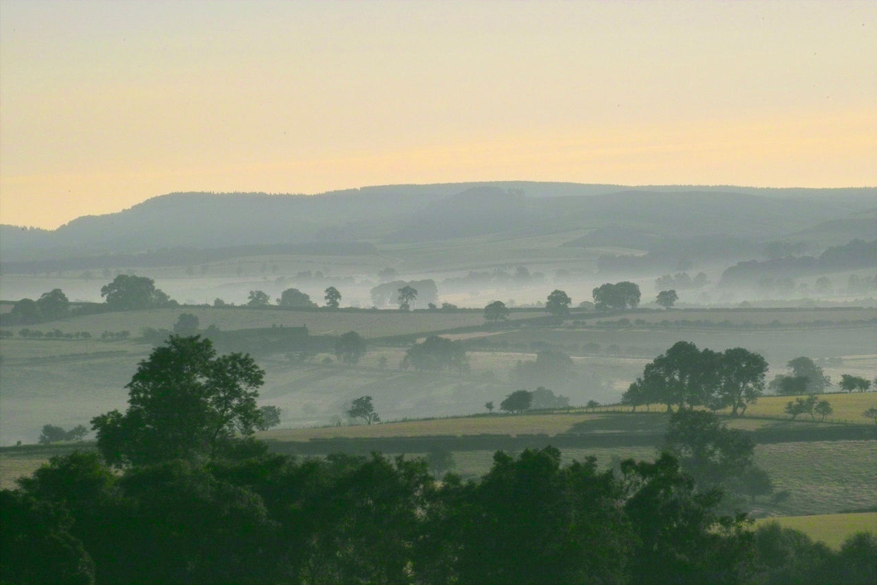 cheviot