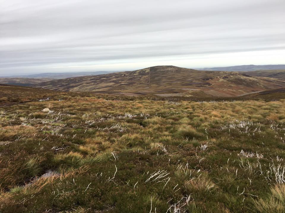 cheviots northumberland