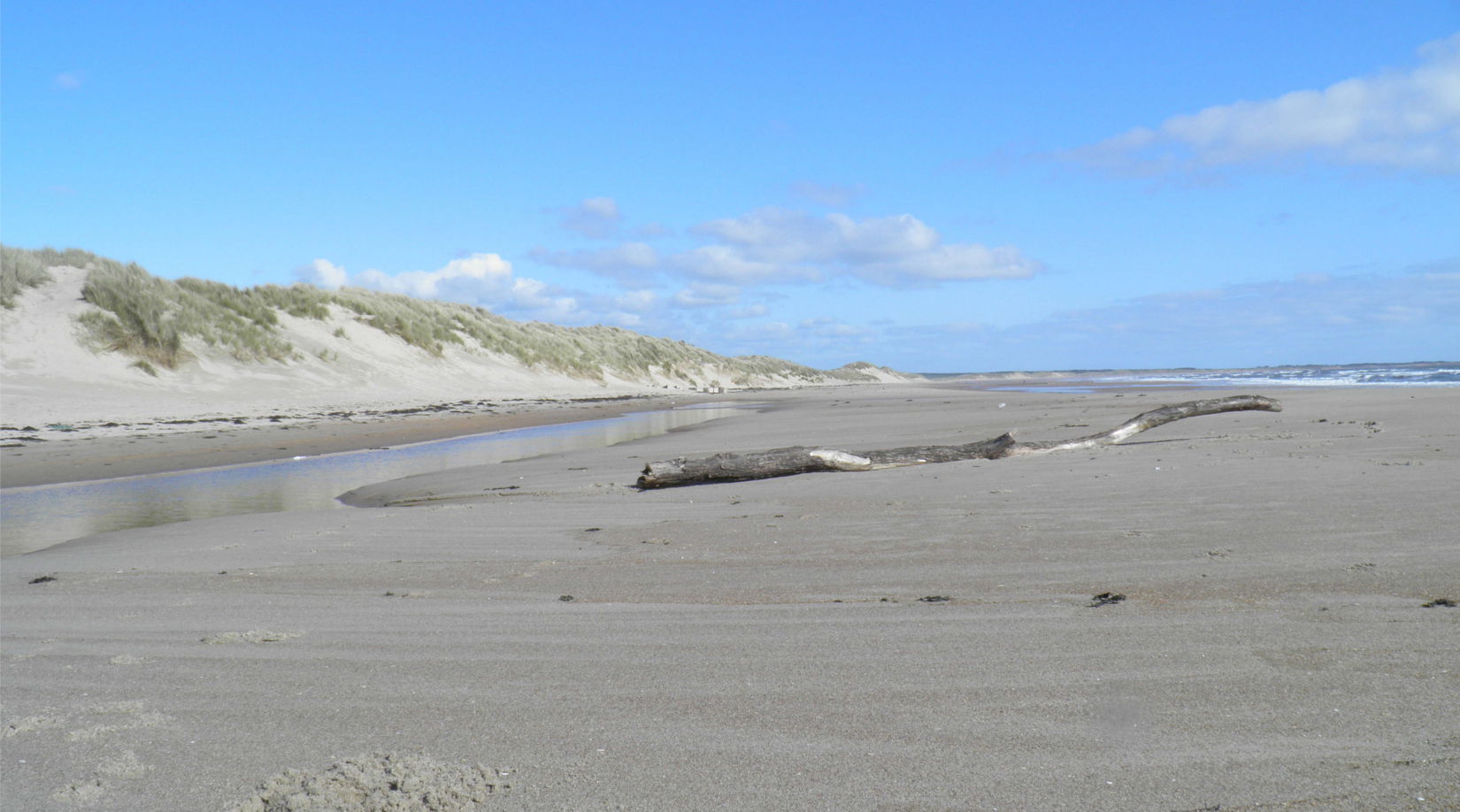 druridge bay