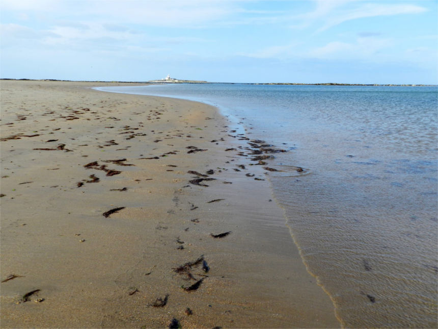 hauxley beach
