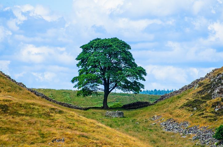 national park search northumberland