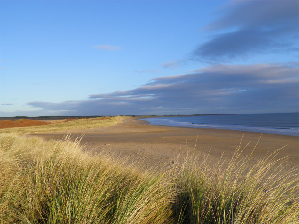 the-northumberland-coast