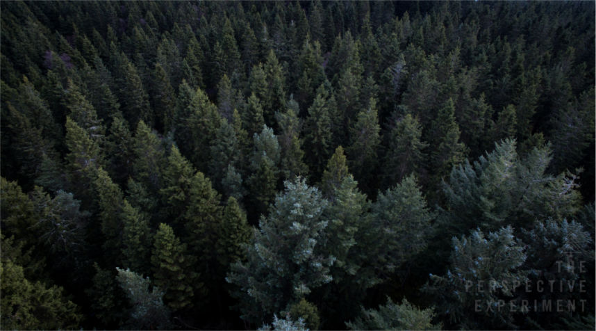 special offer drone video