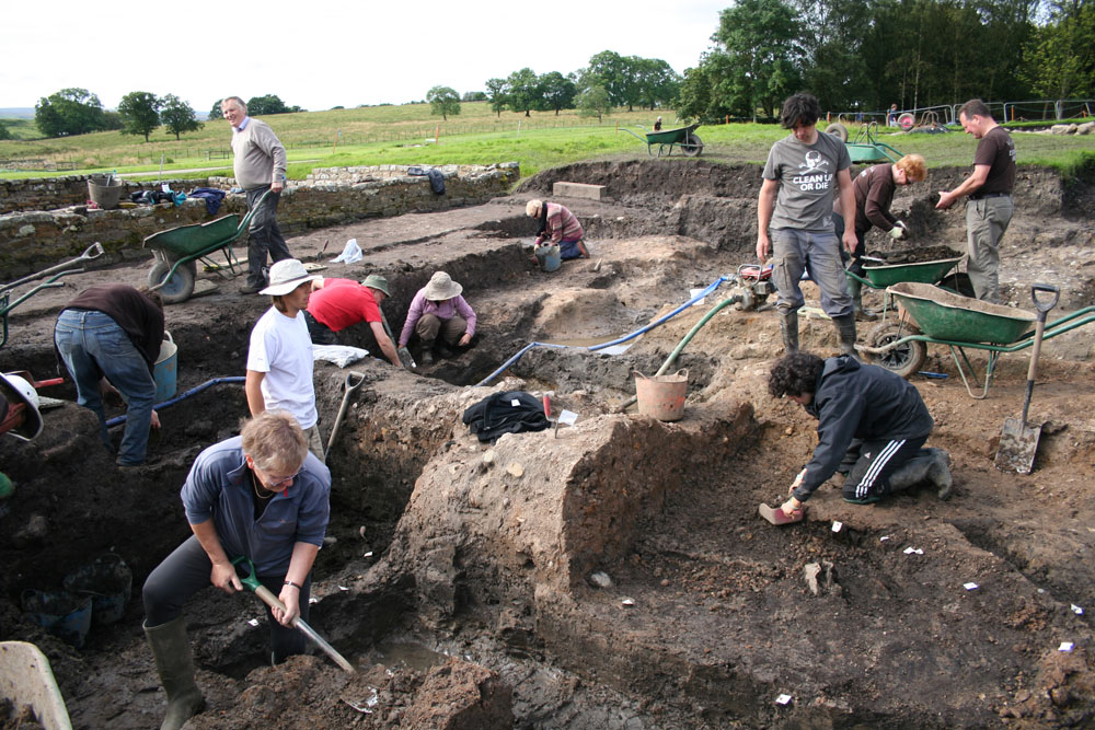 vindolanda things to do