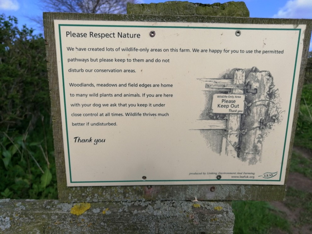 St Cuthbert's Cave